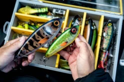 Abu Garcia Abu Svartzonker McTracer -Sportviswinkel 1572597r 5