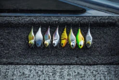 Berkley DEX Ripper 14 Berkley DEX Ripper -Sportviswinkel 1572667r 6