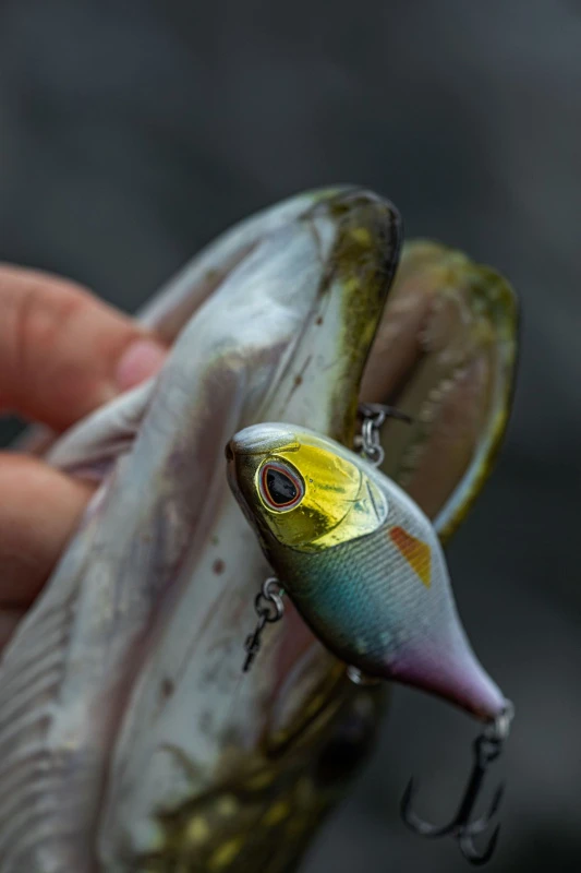 Berkley DEX Ripper 7 Berkley DEX Ripper - Afbeelding 7