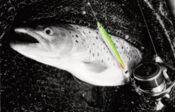 Fladen Silver Chaser 18g -Sportviswinkel 16 6818 1r 2