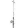Daiwa Silvercast Blister Combo