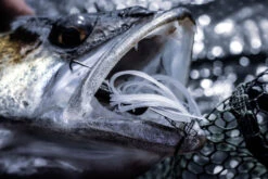 Quantum 4Street Chatter -Sportviswinkel 22 3139104r 4