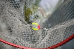 Magic Trout Bloody Big Blade 3,5cm, 2,6g -Sportviswinkel 22 3364008r 3