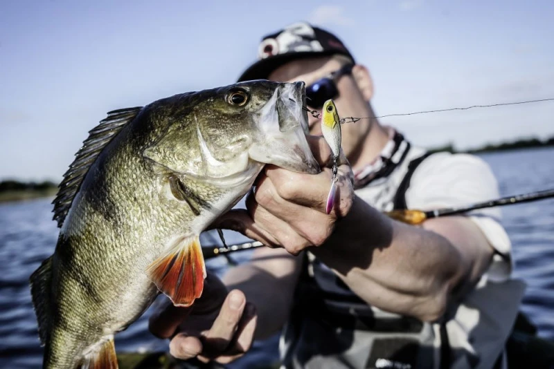 Quantum 4Street Spin-Jig 14g 2 Quantum 4Street Spin-Jig 14g - Afbeelding 2