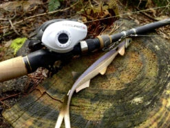 Quantum Accurist Baitcast AT101 HPT -Sportviswinkel 22 570101 6