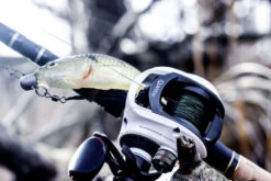 Quantum Accurist Baitcast AT101 HPT -Sportviswinkel 22 570101 7