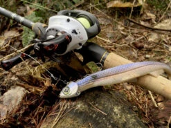 Quantum Accurist Baitcast AT101 HPT -Sportviswinkel 22 570101 8