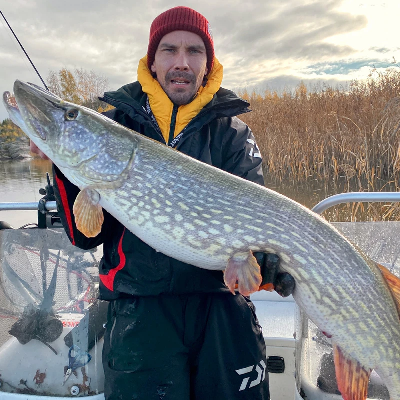 Daiwa PX Lazy Shad 3 Daiwa PX Lazy Shad - Afbeelding 3