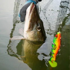 Daiwa PX Lazy Shad 9 Daiwa PX Lazy Shad -Sportviswinkel 32 217472r 5