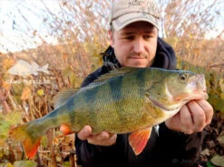 Keitech Crazy Flapper 3,6'', 9cm (7-pak) -Sportviswinkel 58510BOWEr 5