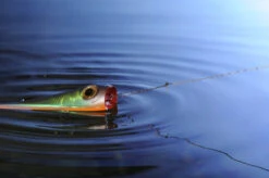 Knot 2 Kinky 1x1 Titanium 4,5m -Sportviswinkel AQ NT00815Cr 6