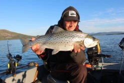 Headbanger Cranky Shad 10 Headbanger Cranky Shad -Sportviswinkel CS 25 SS BKr 3