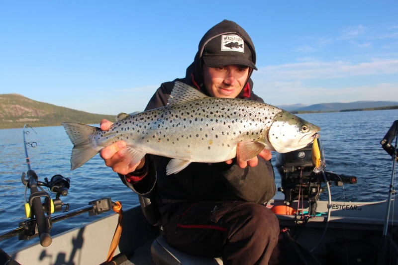 Headbanger Cranky Shad 3 Headbanger Cranky Shad - Afbeelding 3