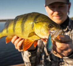 Headbanger Cranky Shad 11 Headbanger Cranky Shad -Sportviswinkel CS 25 SS BKr 4