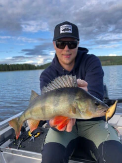 Headbanger Cranky Shad 13 Headbanger Cranky Shad -Sportviswinkel CS 25 SS BKr 6