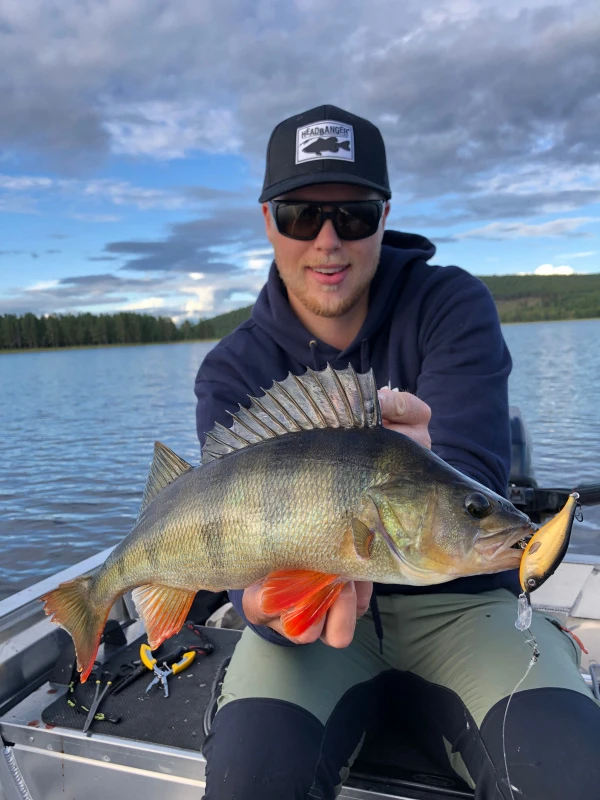 Headbanger Cranky Shad 6 Headbanger Cranky Shad - Afbeelding 6