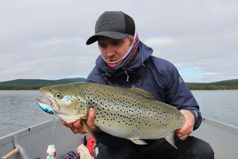 Headbanger Cranky Shad 7 Headbanger Cranky Shad - Afbeelding 7