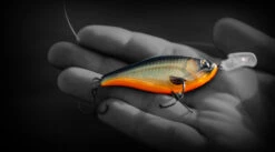 Headbanger Cranky Shad 15 Headbanger Cranky Shad -Sportviswinkel CS 25 SS BKr 8