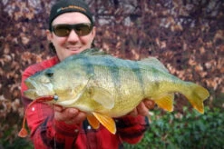 High5Lures Drop9 (6pcs) -Sportviswinkel DRP9101r 4