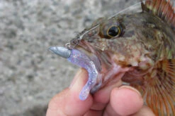 Decoy SN-1 Round Snap -Sportviswinkel DSN10r 5