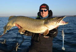 Eastfield Wingman (Made In Sweden) -Sportviswinkel EFLCWINGMAN21r 3