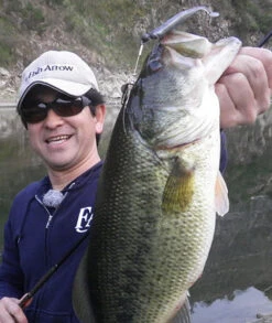 Fish Arrow J Buzz -Sportviswinkel FA 4562178065039r 4