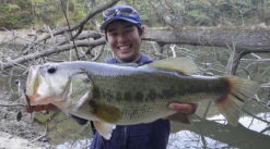 Fish Arrow J Buzz -Sportviswinkel FA 4562178065039r 5