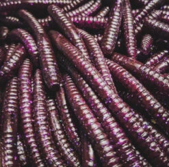 Perch Professor Flying Worm 9cm (6pcs) -Sportviswinkel FW96P Or 3