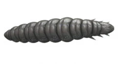 Libra Lures Larva 30 Krill -Sportviswinkel L30K15P 006r 3