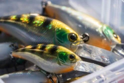 Shimano Yasei Cover Crank F -Sportviswinkel LUYASCCFSR07RBTr 4