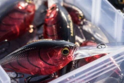 Shimano Yasei Cover Crank F -Sportviswinkel LUYASCCFSR07RBTr 5