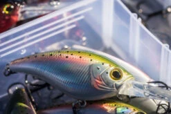 Shimano Yasei Cover Crank F -Sportviswinkel LUYASCCFSR07RBTr 6