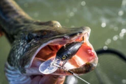 Shimano Yasei Cover Crank F -Sportviswinkel LUYASCCFSR07RBTr 8