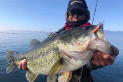 Megabass Dyna Response 14g -Sportviswinkel MB DR 4513473478703r 3