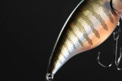 Megabass New Vibration-X Jr (Rattle In) -Sportviswinkel MB VXJ 4513473334177r 3