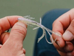 Jaeger Perch Go Kit 17 Jaeger Perch Go Kit -Sportviswinkel PRC KIT GO 1 9