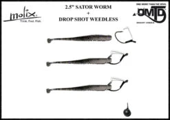 Molix Sator Worm 2,5'', 6,3cm -Sportviswinkel SAW25 01r 3