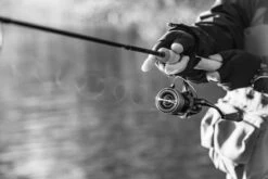 Shimano Stella FK -Sportviswinkel STL1000FKr 5