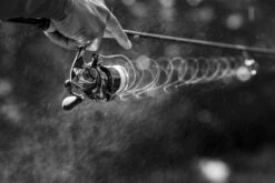 Shimano Stella FK -Sportviswinkel STL1000FKr 6