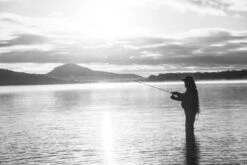 Shimano Stella FK -Sportviswinkel STL1000FKr 7