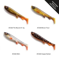 Wolfcreek Shad 2.0 25cm, 120g 11 Wolfcreek Shad 2.0 25cm, 120g -Sportviswinkel WCL SHAD25r 4
