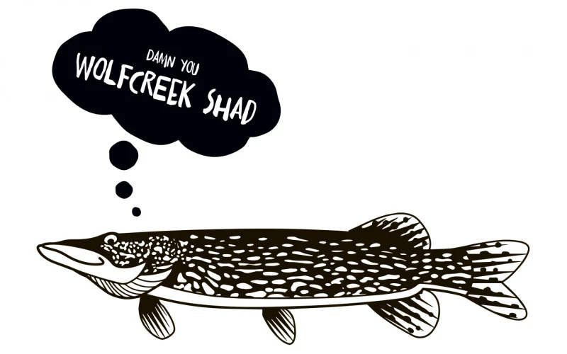 Wolfcreek Shad 2.0 25cm, 120g 7 Wolfcreek Shad 2.0 25cm, 120g - Afbeelding 7