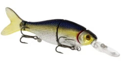 Ricky The Roach (HL/MJ) 80 Mm 7 G