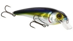 RawBite 11cm 27g Low Floating -Sportviswinkel WS14112r 4